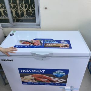 Tủ đông Hòa Phát 1 ngăn 1 cánh 252L Dàn đồng